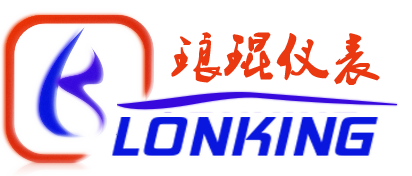 瑯琨儀表在線流量計(jì)